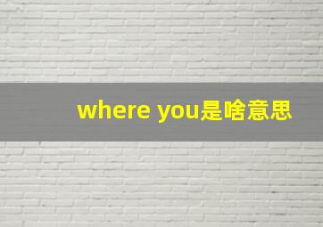 where you是啥意思